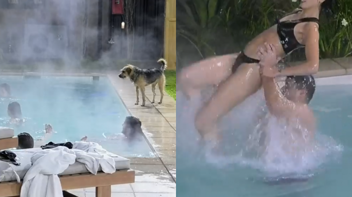 ¿Gracias a Bigote? Piscinazo de la paz reunió a jugadores de Gran Hermano y olvidaron sus rivalidades
