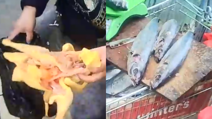 Gallina de campo y pescado: Alerta por venta de alimentos y comida callejera sin control