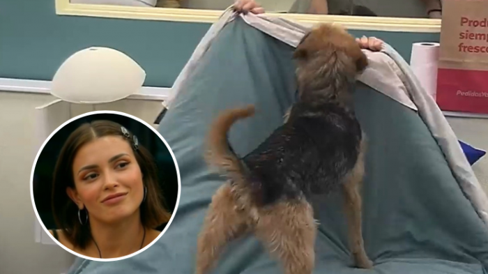 ¿Cambió de familia? Bigote se mostró más cercano que nunca con esta jugadora en Gran Hermano