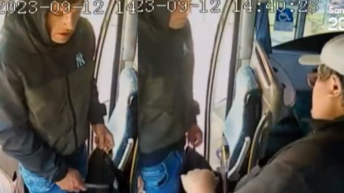 Viaje de terror: Captan a delincuente en robo armado a chofer y pasajeros en bus Bulnes-Chillán