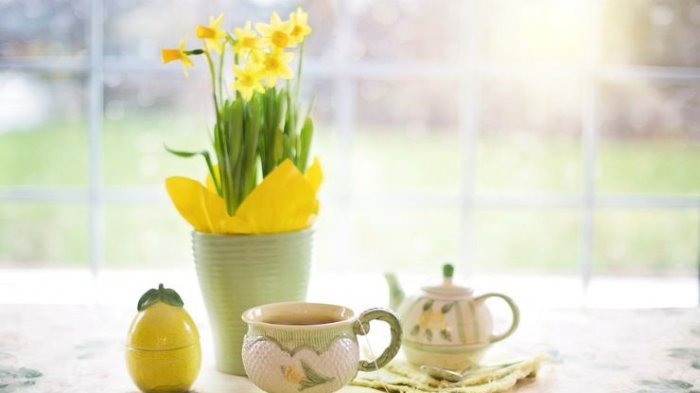 ¿Por qué se regalan Flores Amarillas cada 21 de septiembre?