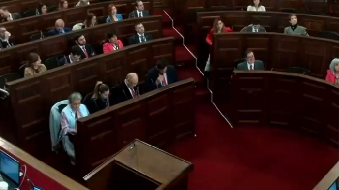 Consejo constitucional aprobó el derecho a la vida de 