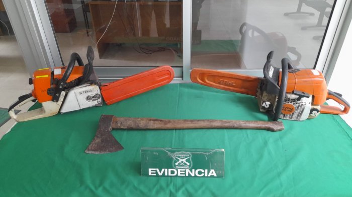 Seis detenidos por robo de madera al interior de predio forestal en Curanilahue