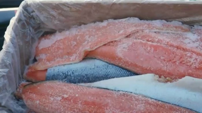 Seremi de Salud decomisó 1.400 kg de salmón vencido de distribuidora en La Reina