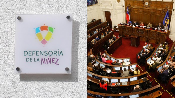 Nueva Constitución: Defensoría de la Niñez acudió a organismos internacionales y calificó 