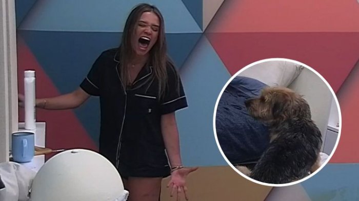 Alessia lanzó el grito de su vida en la madrugada y despertó hasta a Bigote: 