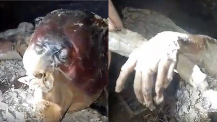 ¿Murió el Chupacabras? Cazadores brasileños aseguraron haber dado caza al mítico ser