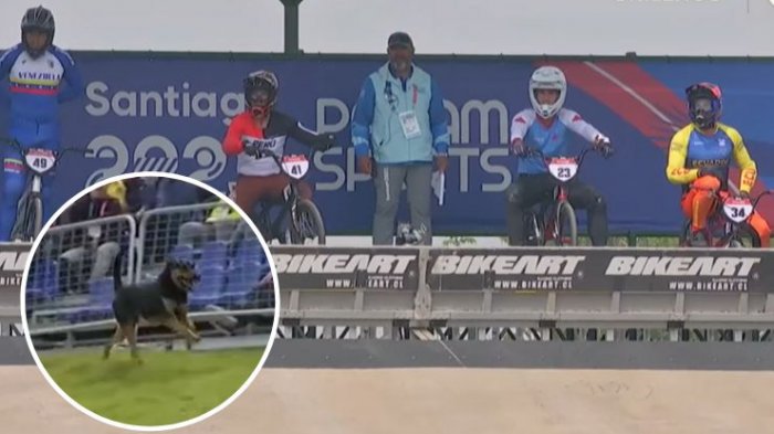 ¡También quería participar! Perrito se coló en plena competencia BMX en Santiago 2023
