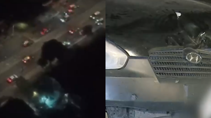 Robo a panadería en Santiago terminó en persecución: 2 sujetos fueron detenidos tras chocar con árbol