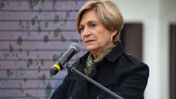 Matthei anunció que votará 