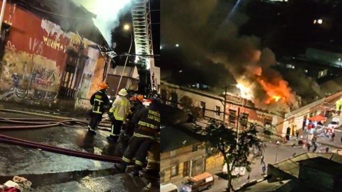 Animales murieron enjaulados tras incendio en restaurante de Recoleta