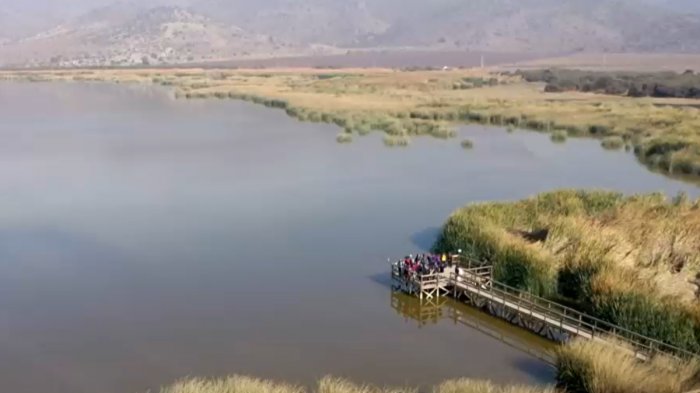 Millonario negocio: Conflicto por proyecto inmobiliario en Humedal de Batuco