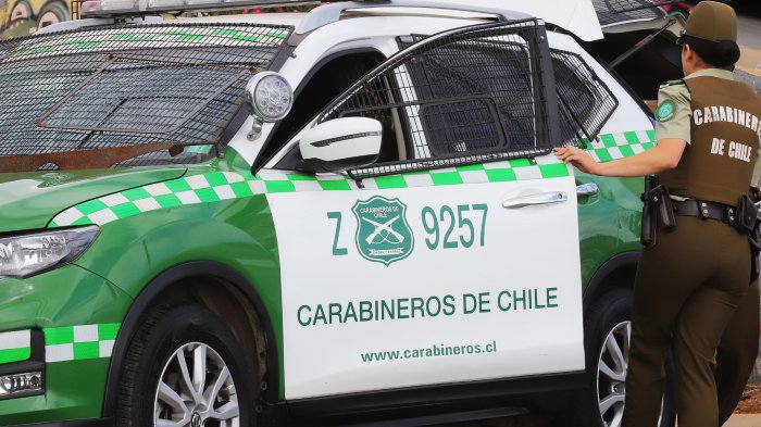 Otra vez: Detienen a dos adolescentes por amenazas a guardias del parque Quinta Normal