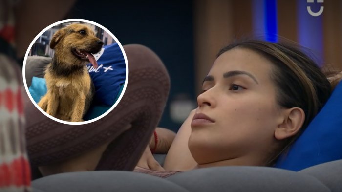 Coni revela complicaciones de llevarse a Bigote a Santiago: 