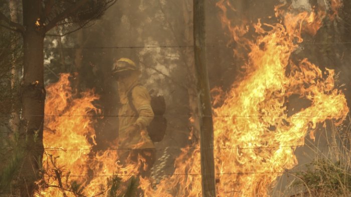 Declaran alerta roja en Machalí por incendio forestal en Reserva Nacional Río Cipreses