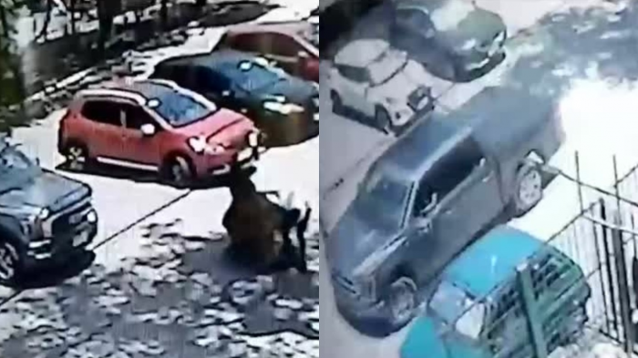 Cámara expuso violento asalto: Profesora fue golpeada a metros del colegio