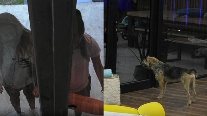 ¿Últimos días nadie se enoja? La travesura de Bigote que le costó un cómico castigo en Gran Hermano