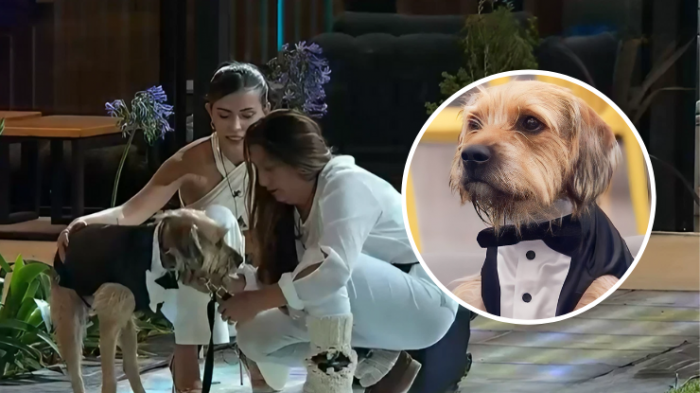 Gran Hermano se despidió de Bigote con sentidas palabras: 