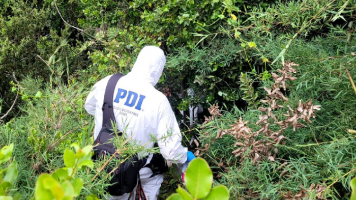 Macabro hallazgo en Viña del Mar: Niños encontraron cadáver mientras jugaban en una quebrada