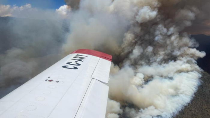 Alerta Amarilla por incendio en Quilpué: Van más de mil hectáreas quemadas