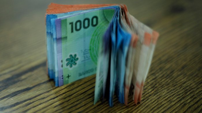 Bonos diciembre 2023: Consulta aquí la fecha de pago de los beneficios que se pagan este mes