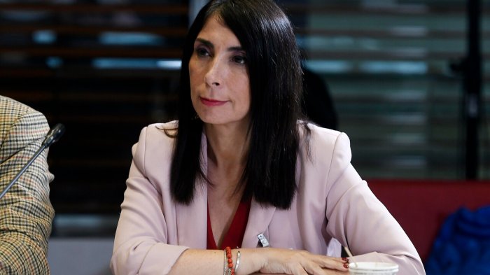 Karla Rubilar emplazó a Michelle Bachelet por campaña constitucional: 