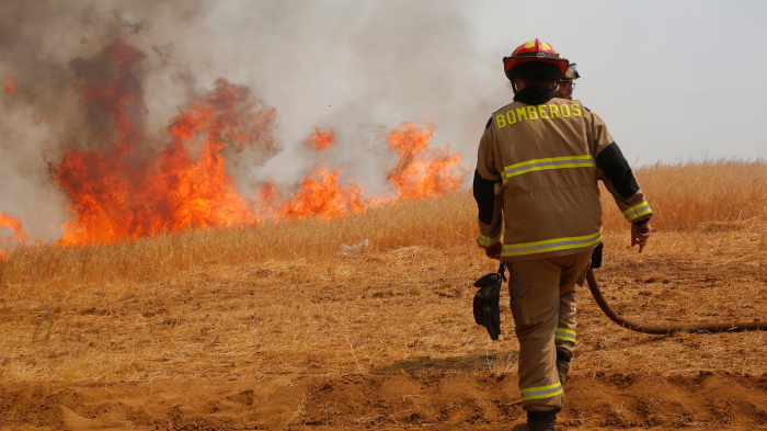 Detienen a 4 personas por responsabilidad en incendios forestales en la región de O'Higgins