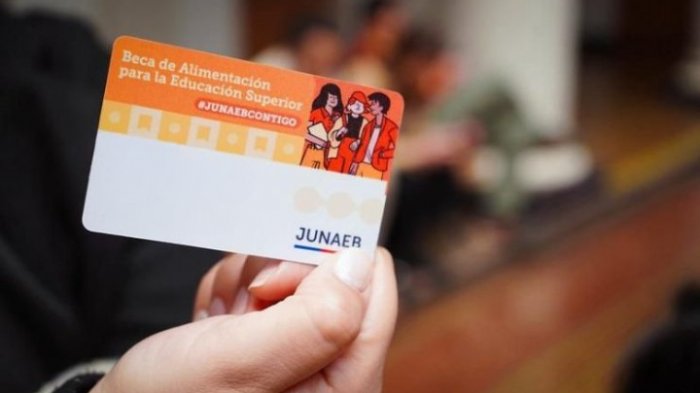 Beca BAES de Junaeb en verano: Revisa quiénes pueden acceder a los $42 mil y los requisitos