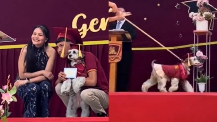 Con traje y por su asistencia perfecta: Viralizan tierna graduación de Pestañita en Antofagasta