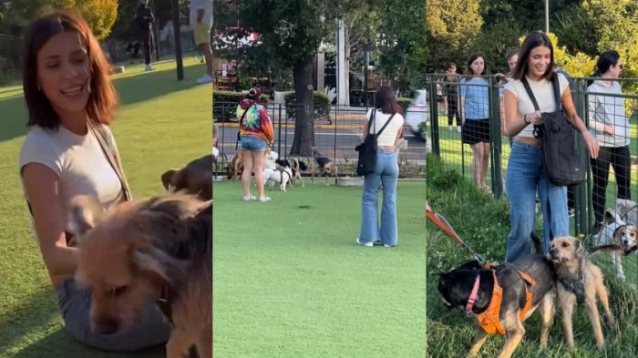 ¡Todas unas celebridades! Coni y Bigote disfrutaron de juguetón paseo en el parque que enterneció a las redes