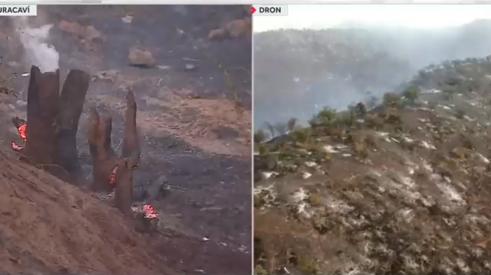 Actualizan Alerta Roja por incendio forestal en Curacaví y Padre Hurtado: Más de 500 hectáreas quemadas