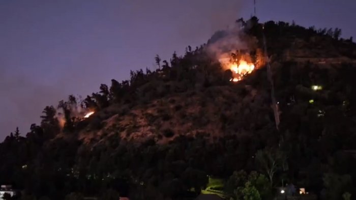 Parquemet informó estado de los animales del zoológico por incendio en Cerro San Cristóbal