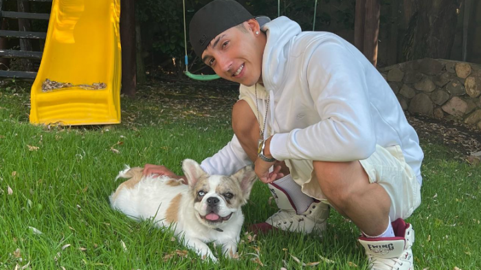 Pailita reveló causa de muerte de su perrito e hizo llamado a los responsables: 