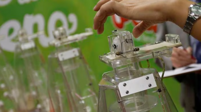 La Suerte en Chile: Revisa con tu RUT si eres uno de los ganadores del tercer sorteo de La Suerte de Ser Chileno 2023