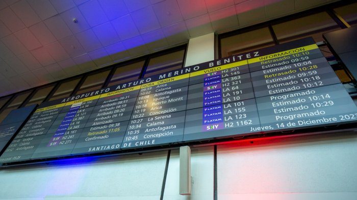 Masiva presencia de aves obligó a suspender operaciones en Aeropuerto de Santiago