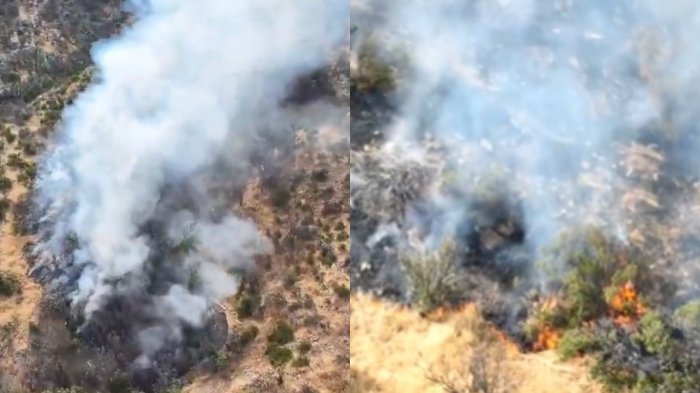 Alerta por incendio forestal en San Carlos de Apoquindo: Sigue estas recomendaciones ante presencia de humo