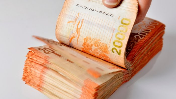 Subsidio Familiar Automático: ¿Cómo recibirlo con mi RUT y cuál es su valor a pagar?