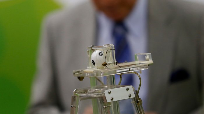 La Suerte en Chile definió a sus últimos ganadores: Revisa acá con tu RUT si obtuviste el premio de $5 millones