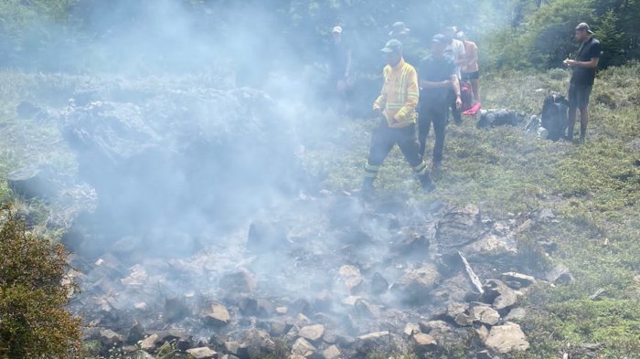 Quemó papel higiénico: Detienen a turista japonés por incendio en Parque Nacional Patagonia