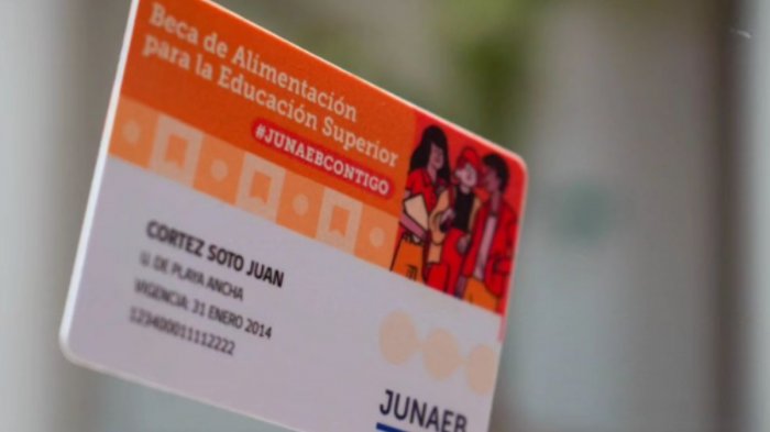 ¡Atención, universitarios! Practicantes de educación superior podrán usar tarjeta Junaeb-Sodexo durante el verano