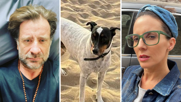 Murió perrito de Luz Valdivieso y Marcial Tagle: Había desaparecido tras fuegos artificiales