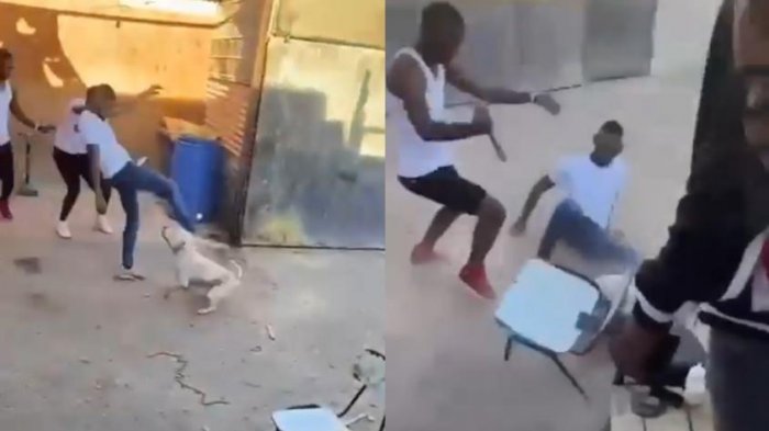 Cruel maltrato a perrito: PDI detuvo a un hombre en Copiapó tras condenado video