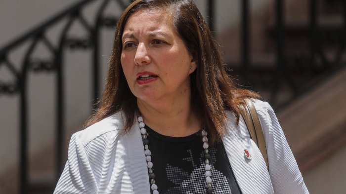 Senadora Vodanovic también reconoció reunión en casa de Zalaquett