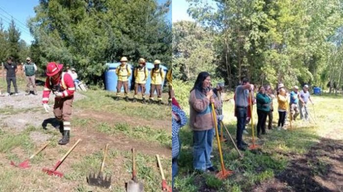 Contra incendios forestales: Conaf y Caritas Chile lanzan campaña para vecinos de Valparaíso y Ñuble