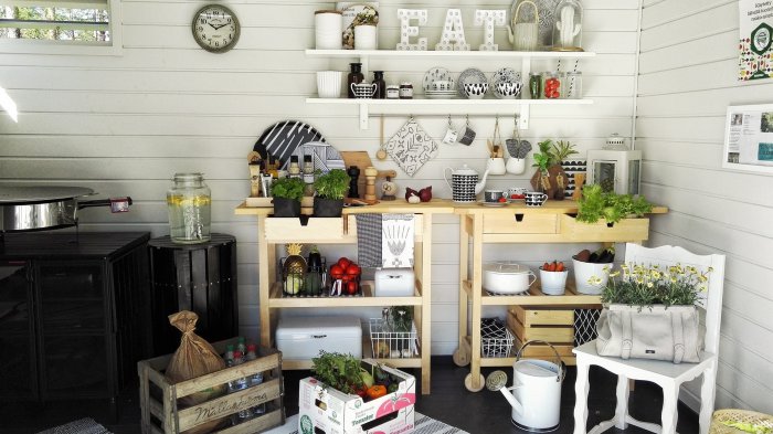 Desde lavandas a eucaliptos: Estas son las plantas que limpian la energía de tu hogar