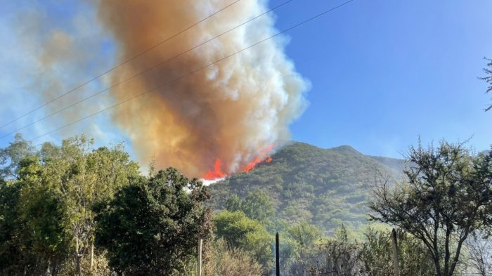 Ha consumido 20 hectáreas: Alerta roja en Melipilla por incendio forestal que podría alcanzar viviendas