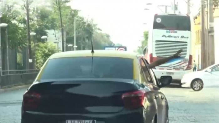 Mafia de taxistas opera en cercanías del Terminal Sur: Retienen y roban a pasajeros