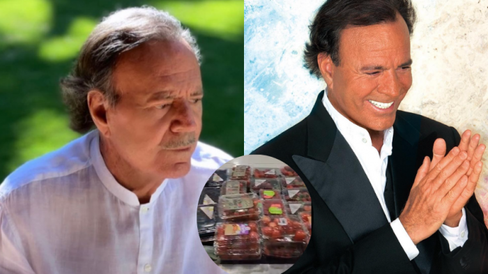 ¿Qué encontraron en el equipaje de Julio Iglesias en el aeropuerto de Punta Cana?
