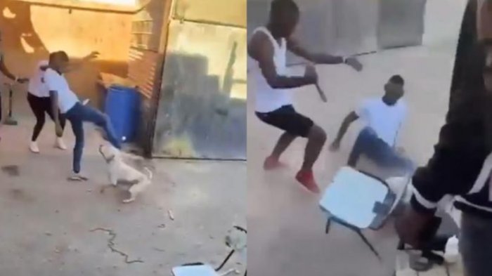 Corte revocó prisión preventiva de único detenido por caso de maltrato de animal en Copiapó