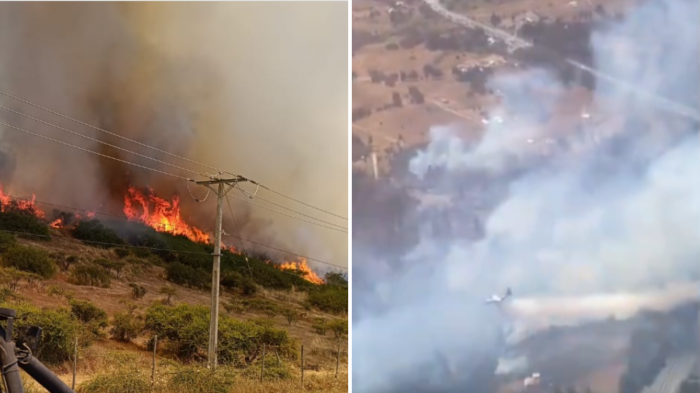 Senapred decretó alerta roja por incendio forestal en las regiones de Biobío y O'higgins